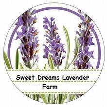 Sweet Dreams Lavender Farm
